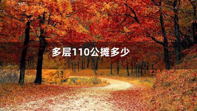 多层110公摊多少