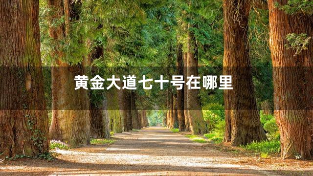 黄金大道七十号在哪里