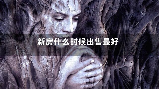 新房什么时候出售最好