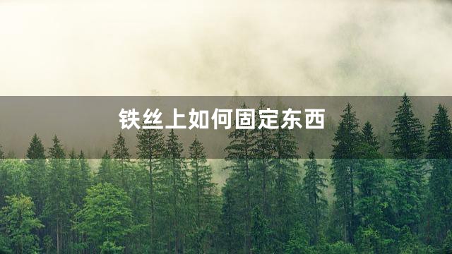 铁丝上如何固定东西