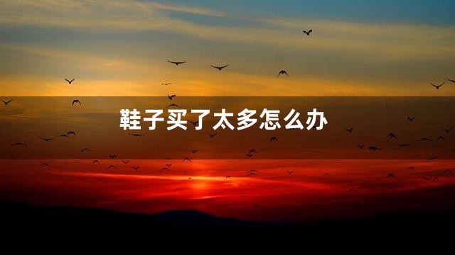 鞋子买了太多怎么办