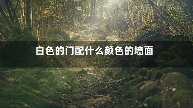 白色的门配什么颜色的墙面