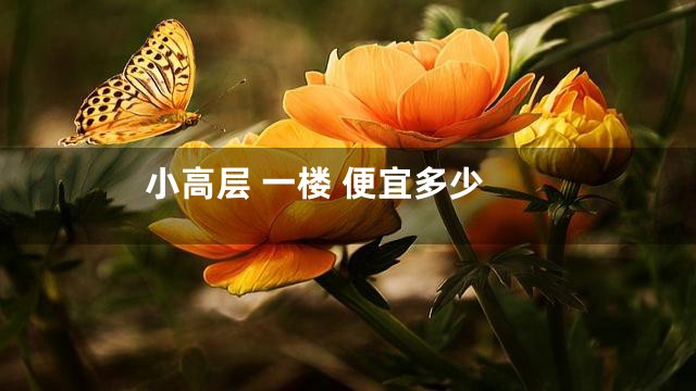 小高层 一楼 便宜多少