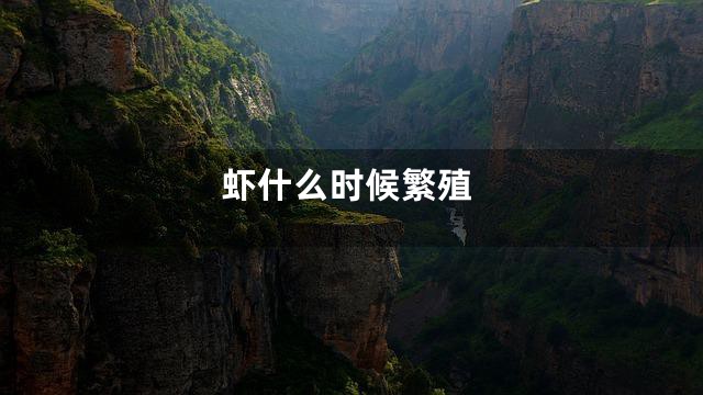 虾什么时候繁殖