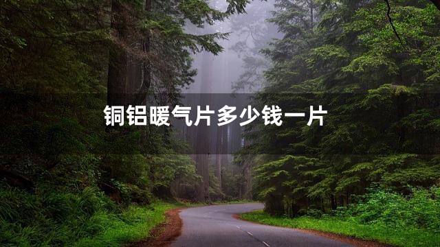 铜铝暖气片多少钱一片