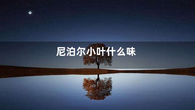 尼泊尔小叶什么味