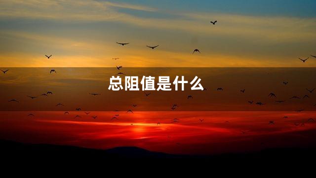 总阻值是什么