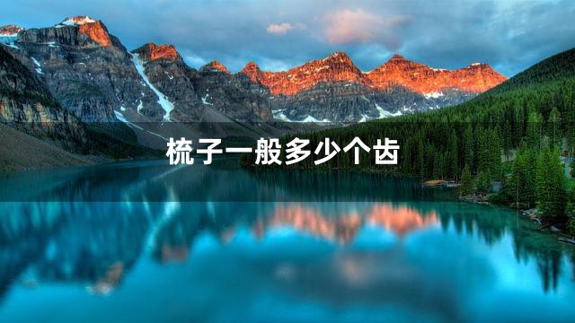 梳子一般多少个齿