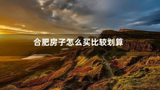 合肥房子怎么买比较划算