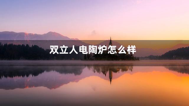 双立人电陶炉怎么样
