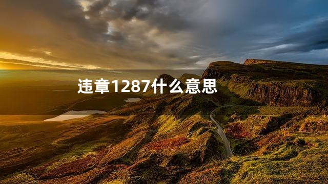 违章1287什么意思