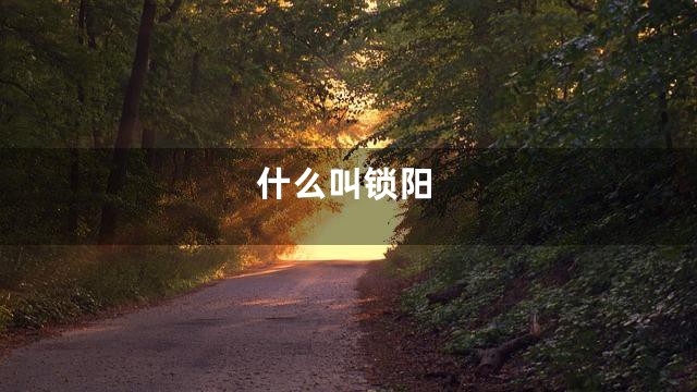 什么叫锁阳
