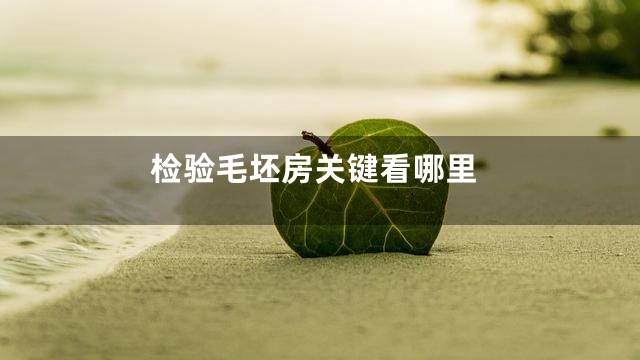 检验毛坯房关键看哪里