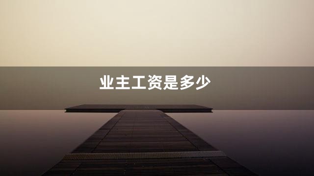 业主工资是多少