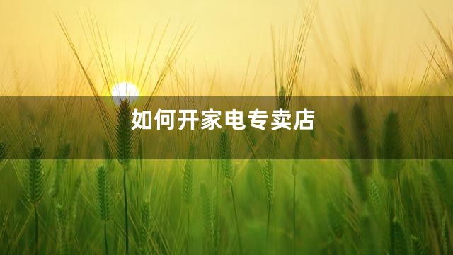 如何开家电专卖店