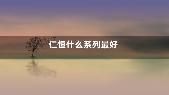 仁恒什么系列最好