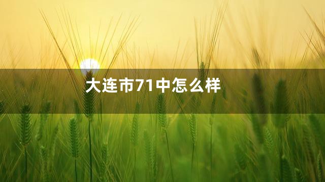 大连市71中怎么样