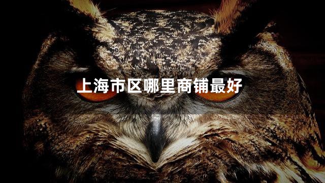 上海市区哪里商铺最好