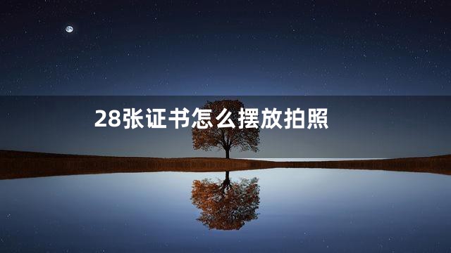 28张证书怎么摆放拍照