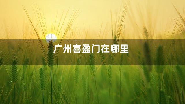 广州喜盈门在哪里