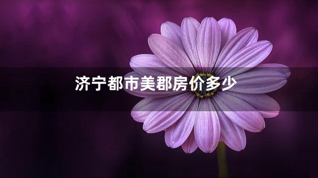 济宁都市美郡房价多少