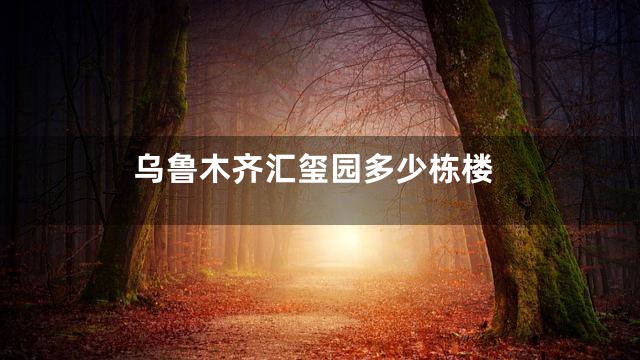 乌鲁木齐汇玺园多少栋楼