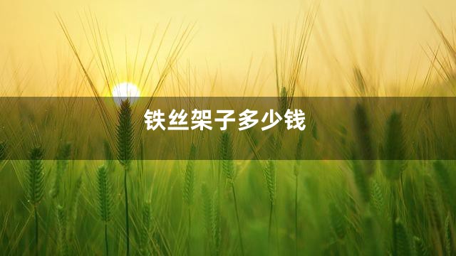 铁丝架子多少钱