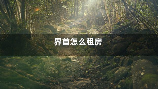 界首怎么租房