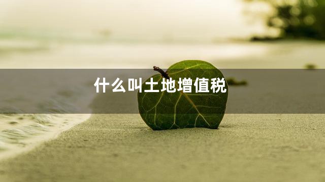 什么叫土地增值税
