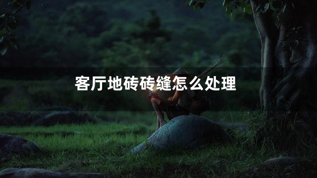 客厅地砖砖缝怎么处理