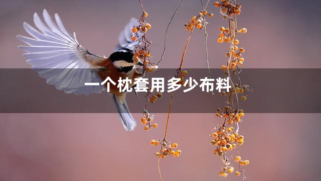 一个枕套用多少布料