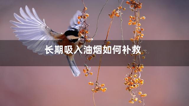 长期吸入油烟如何补救