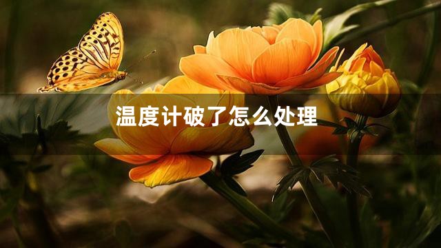 温度计破了怎么处理