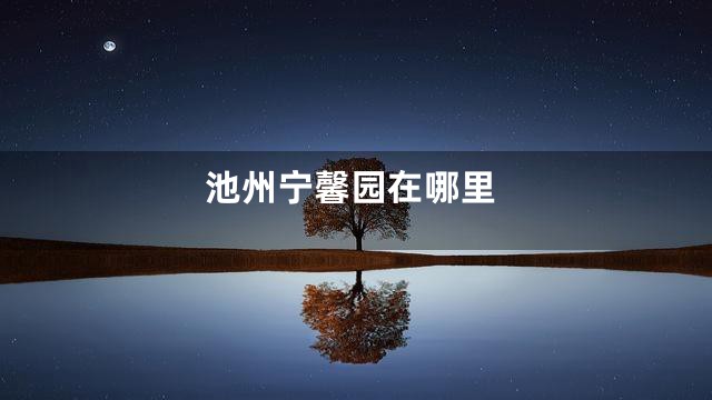 池州宁馨园在哪里