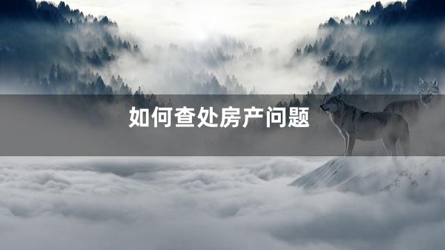 如何查处房产问题