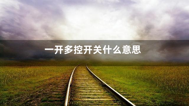 一开多控开关什么意思