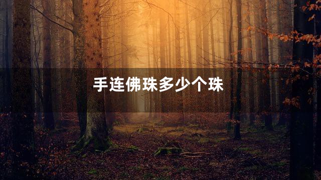 手连佛珠多少个珠