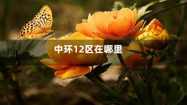 中环12区在哪里