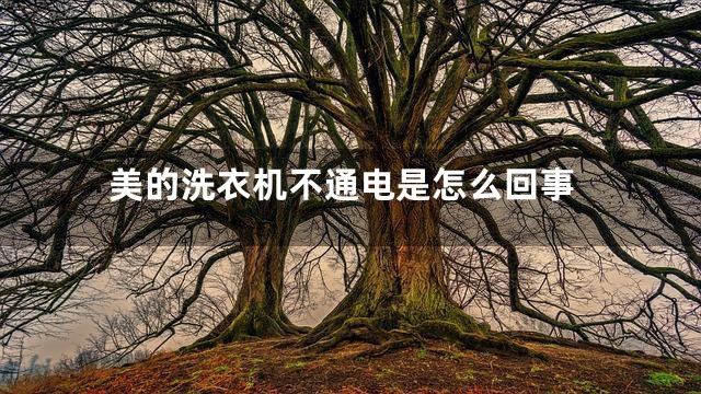 美的洗衣机不通电是怎么回事