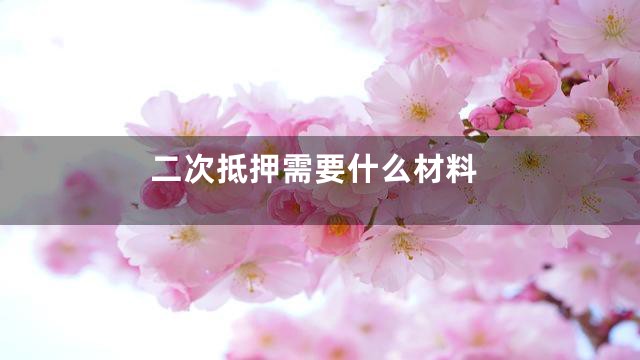 二次抵押需要什么材料