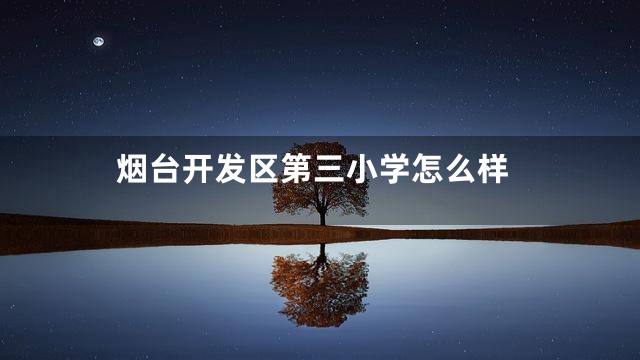 烟台开发区第三小学怎么样