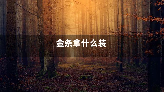 金条拿什么装