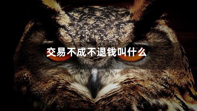 交易不成不退钱叫什么