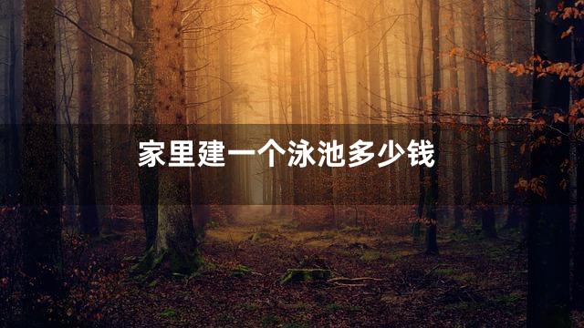 家里建一个泳池多少钱