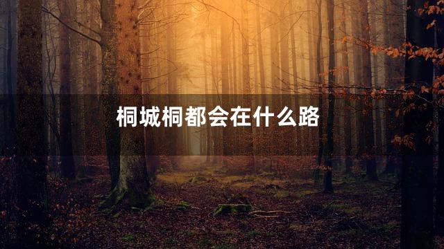 桐城桐都会在什么路