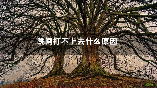 跳闸打不上去什么原因