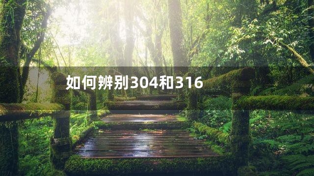 如何辨别304和316