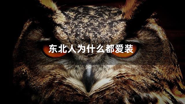 东北人为什么都爱装