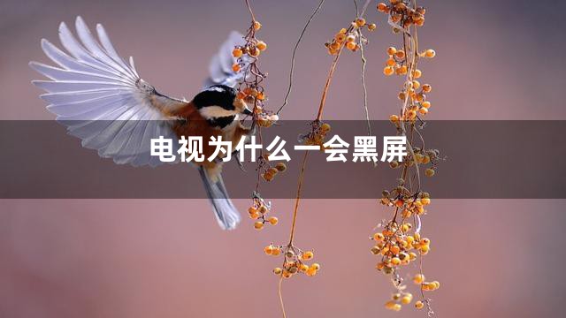 电视为什么一会黑屏