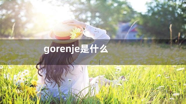 gorenje是什么
